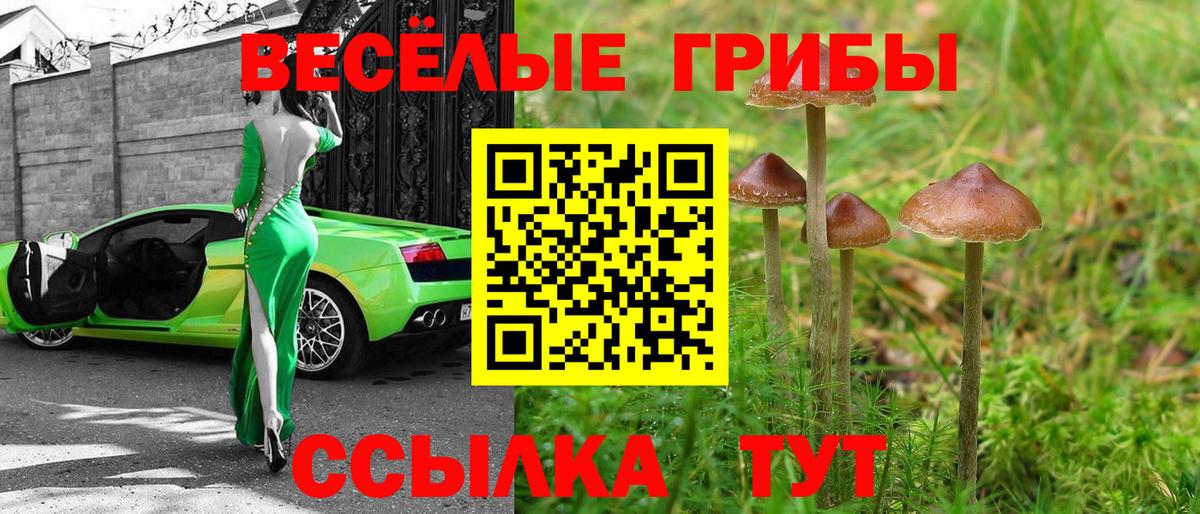 Галлюциногенные грибы Cubensis  Вход с VPN  Галлюциногенные грибы Psilocybine cubensis  Киселёвск 