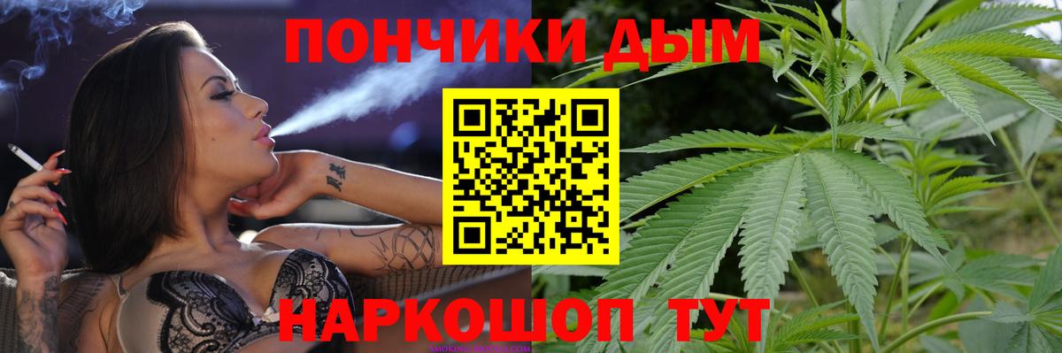 Бошки Шишки семена Киселёвск